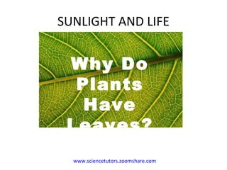 SUNLIGHT AND LIFE www.sciencetutors.zoomshare.com   Why Do Plants Have Leaves? 