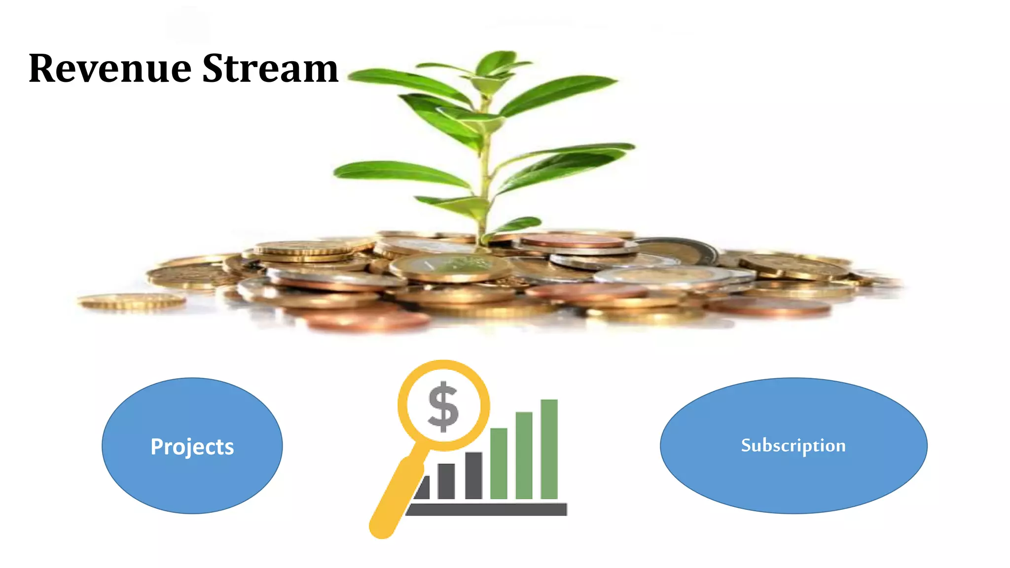 Projects Subscription
Revenue Stream