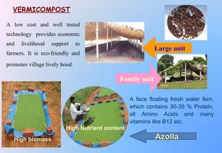 A low cost and well tested
technology provides economic
and livelihood support to
farmers. It is eco-friendly and
promotes village lively hood.
VERMICOMPOST
Large unit
Family unit
A face floating fresh water fern,
which contains 30-35 % Protein,
all Amino Acids and many
vitamins like B12 etc.
High biomass
High Nutrient content
AzollaAzolla
 