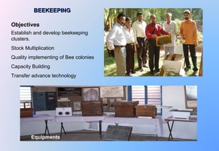 BEEKEEPINGBEEKEEPING
Equipments
Objectives
Establish and develop beekeeping
clusters.
Stock Multiplication
Quality implementing of Bee colonies
Capacity Building
Transfer advance technology
 