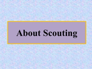 About Scouting
 