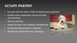 • Ensures that the team is fully functional and productive
• Enable close cooperation across all roles
  and functions
• Remove barriers
• Shield the team from external interferences
• Ensure that the process is followed
• Review and Sprint Planning meetings                        “The sheepdog for the team”
 