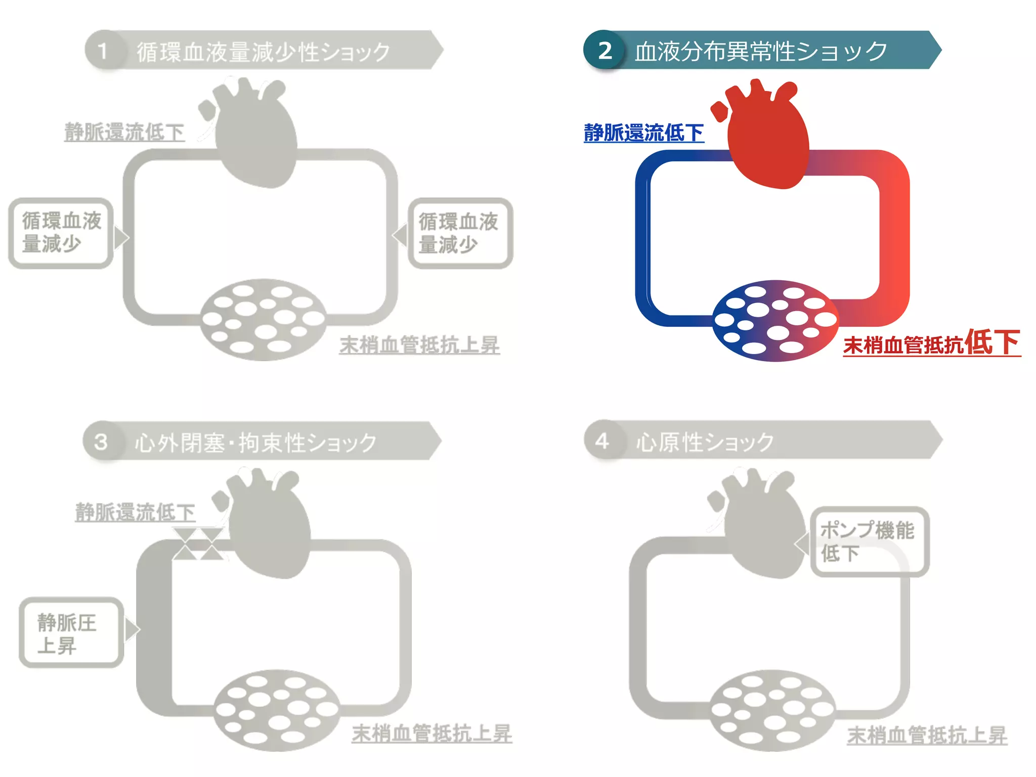 ショックについて | PDF