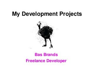 My Development Projects
Bas Brands
Freelance Developer
 