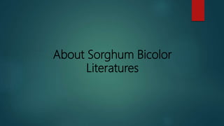 About Sorghum Bicolor
Literatures
 