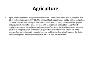 Agriculture
• Agriculture is the major occupation in Tamilnadu. The total cultivated area in the State was
56.10 million hectares in 2007-08. The principal food crops include paddy, millets and pulses.
Commercial crops include sugarcane, cotton, sunflower, coconut, cashew, chillies, gingelly
and groundnut. Plantation crops are tea, coffee, cardamom and rubber. Major forest
produces are timber, sandalwood, pulp wood and fuel wood. Tamilnadu occupies a premier
position in the production and extensive application of bio-fertilizers. Efforts are on to
improve farming technologies so as to increase yields in the low rainfall areas of the State.
Annual food grains production in the year 2007-08 was 100.35 lakh mt.
 