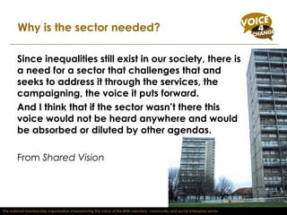 Why is the sector needed? Since inequalities still exist in our society, there is a need for a sector that challenges that and seeks to address it through the services, the campaigning, the voice it puts forward.  And I think that if the sector wasn’t there this voice would not be heard anywhere and would be absorbed or diluted by other agendas. From  Shared Vision The national membership organisation championing the voice of the BME voluntary, community and social enterprise sector 