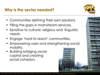Why is the sector needed? Communities defining their own solutions Filling the gaps in mainstream services. Sensitive to cultural, religious and  linguistic needs. Engage ‘hard to reach’ communities. Empowering users and strengthening social mobility. Building bridging social  capital and creating  social cohesion . The national membership organisation championing the voice of the BME voluntary, community and social enterprise sector 