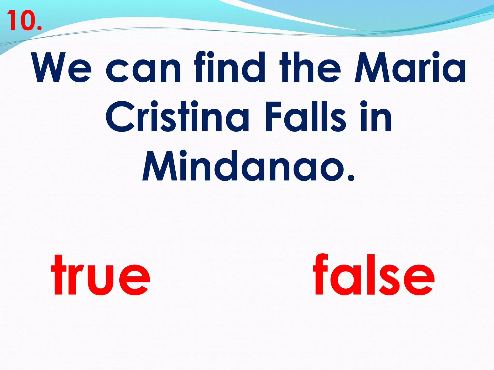 We can find the Maria
Cristina Falls in
Mindanao.
10.
true false
 