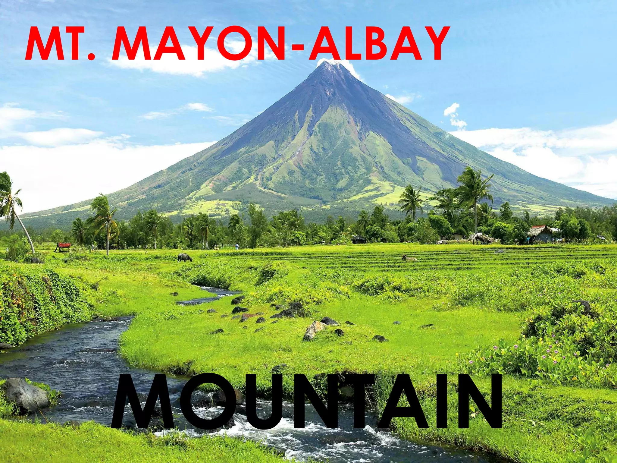 MOUNTAIN
MT. MAYON-ALBAY
 