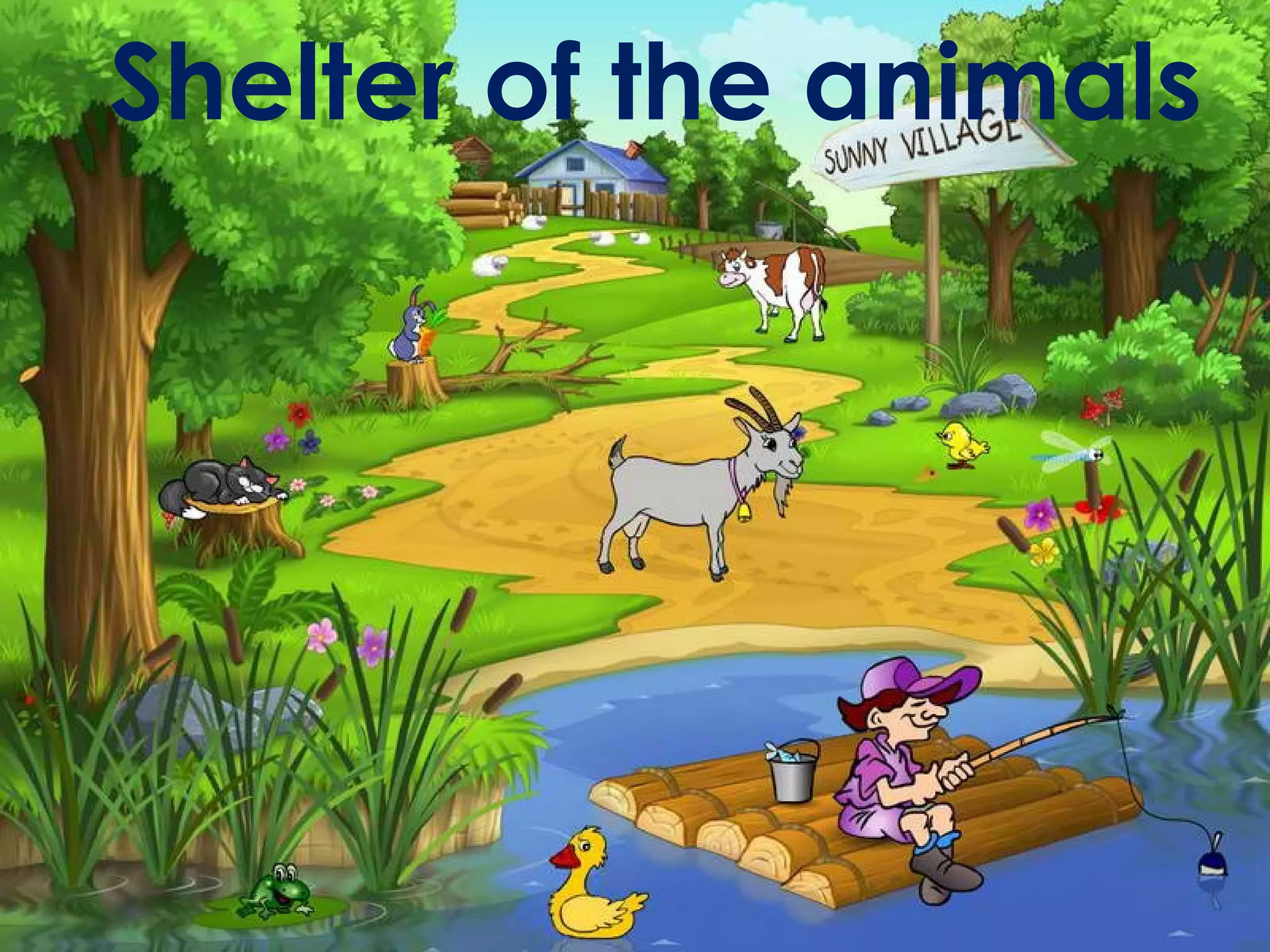 Shelter of the animals
 