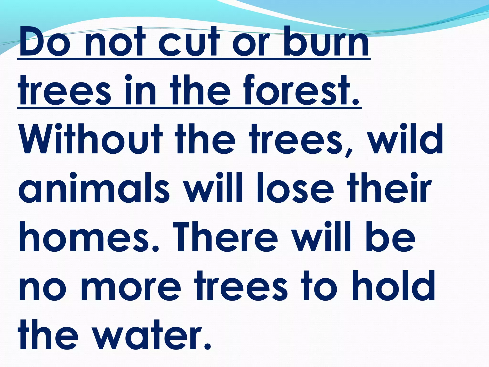 Do not cut or burn
trees in the forest.
Without the trees, wild
animals will lose their
homes. There will be
no more trees to hold
the water.
 