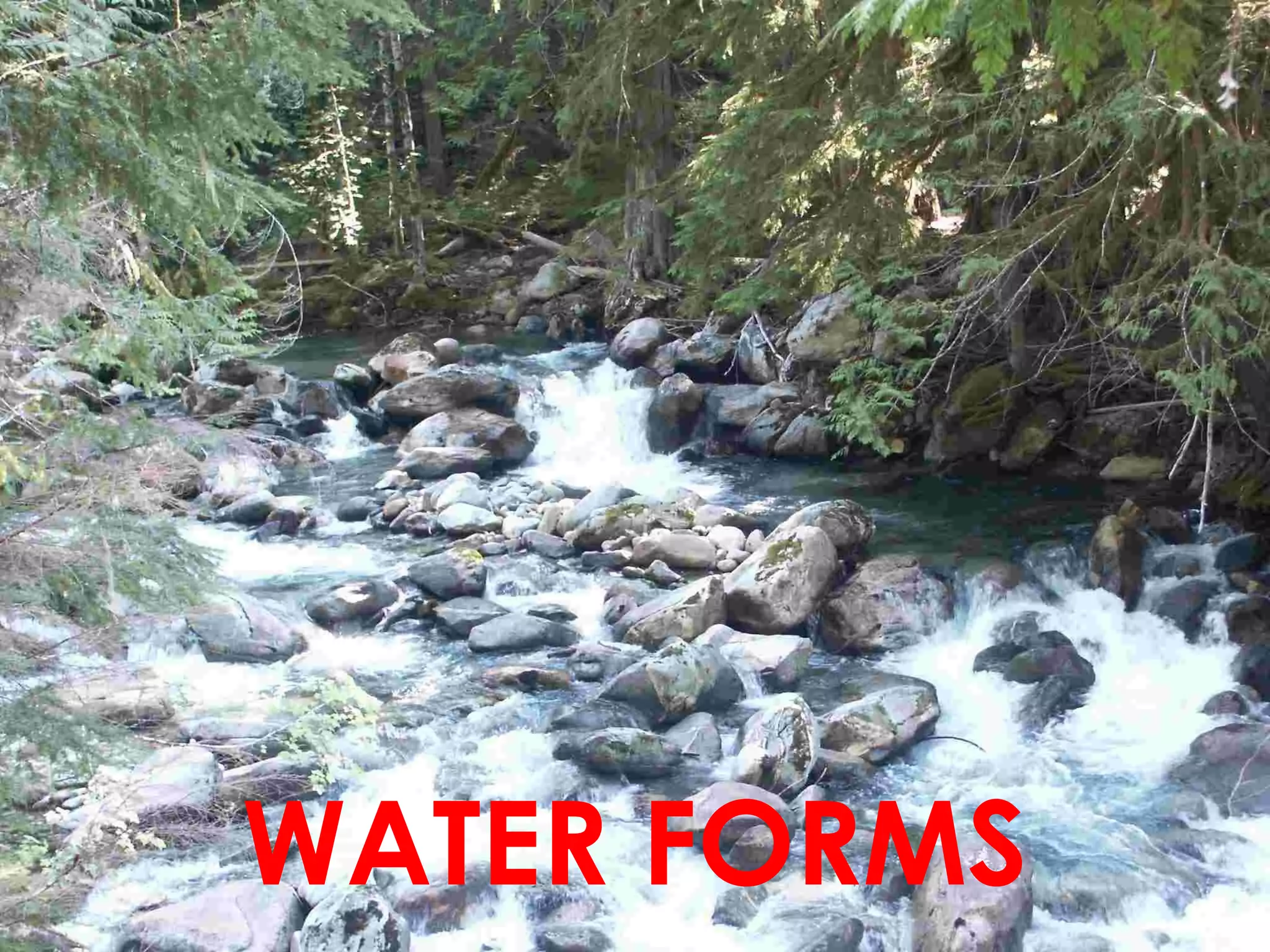 WATER FORMS
 