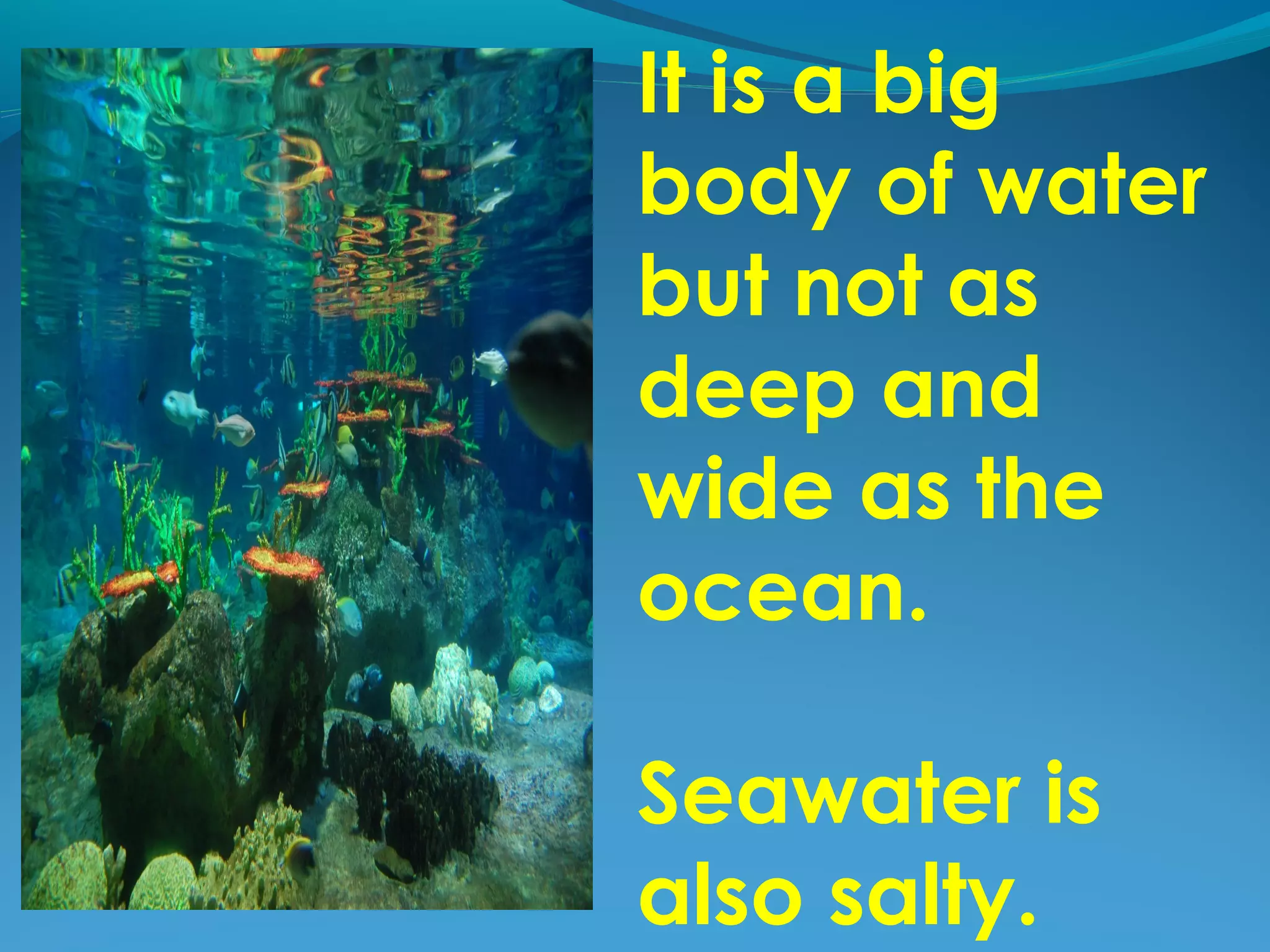 It is a big
body of water
but not as
deep and
wide as the
ocean.
Seawater is
also salty.
 
