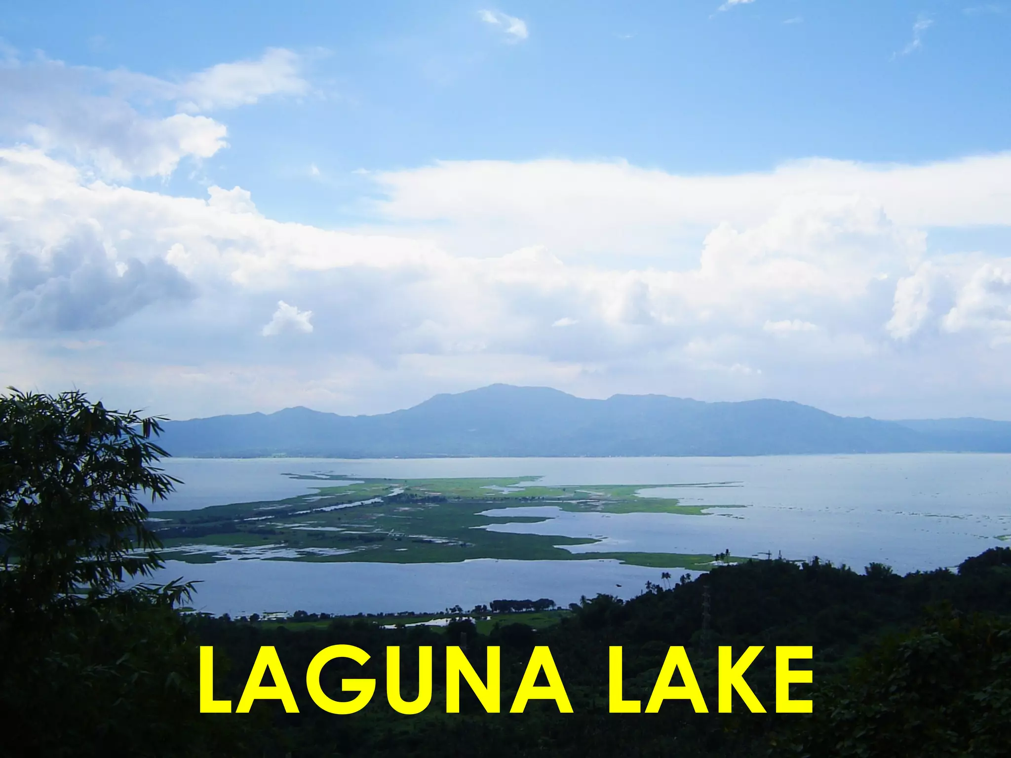 LAGUNA LAKE
 