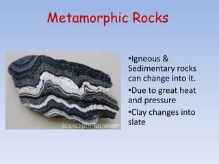 Metamorphic Rocks
•Igneous &
Sedimentary rocks
can change into it.
•Due to great heat
and pressure
•Clay changes into
slate