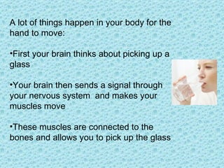 A lot of things happen in your body for the hand to move: First your brain thinks about picking up a glass Your brain then sends a signal through your nervous system  and makes your muscles move  These muscles are connected to the bones and allows you to pick up the glass 