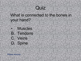 Quiz What is connected to the bones in your hand?  Muscles Tendons Veins Spine Please Answer 
