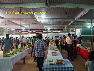 The fruit growers contest
 