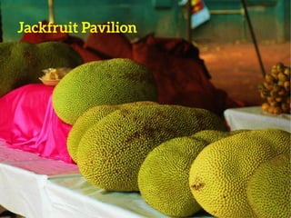 And there will be lots more…
 