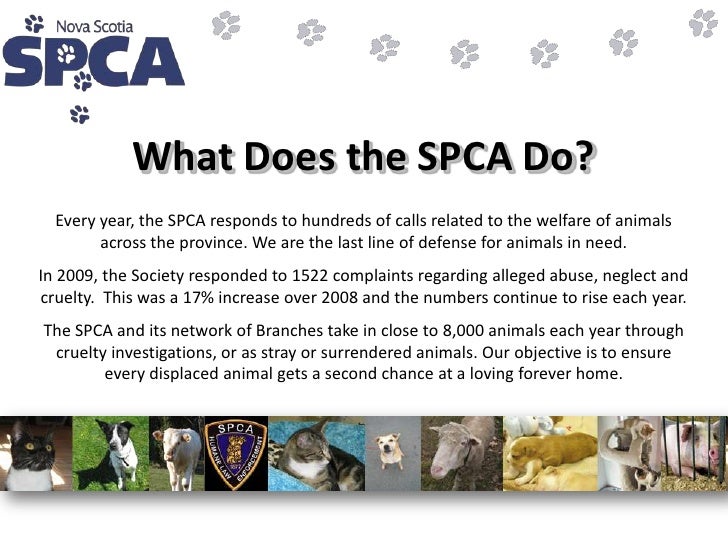 About the ns spca corporate