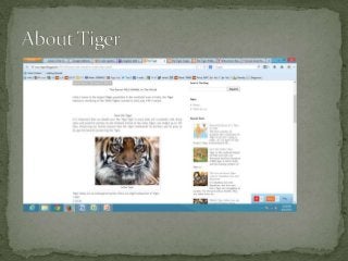 About endangered tigers facts, pictures, places and other information