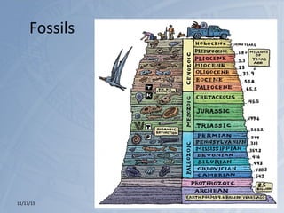 Fossils
11/17/15 http://is.gd/Abouttime 82
 