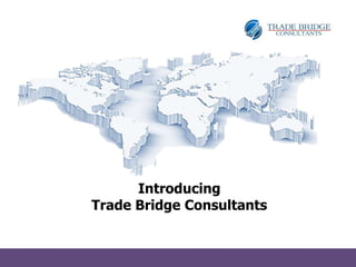 Introducing
Trade Bridge Consultants

 