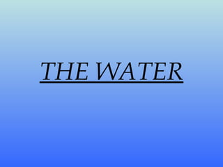 THE WATER 