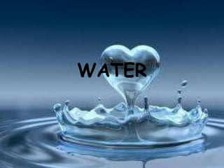WATER
 