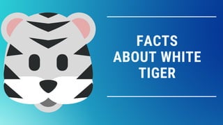 FACTS
ABOUT WHITE
TIGER
 