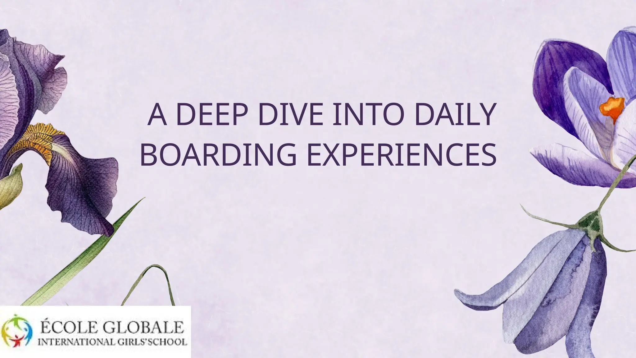 A DEEP DIVE INTO DAILY
BOARDING EXPERIENCES