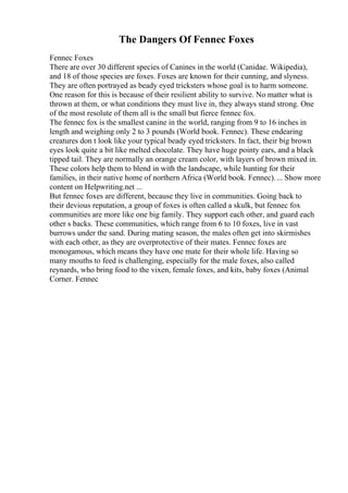 The Dangers Of Fennec Foxes
Fennec Foxes
There are over 30 different species of Canines in the world (Canidae. Wikipedia),
and 18 of those species are foxes. Foxes are known for their cunning, and slyness.
They are often portrayed as beady eyed tricksters whose goal is to harm someone.
One reason for this is because of their resilient ability to survive. No matter what is
thrown at them, or what conditions they must live in, they always stand strong. One
of the most resolute of them all is the small but fierce fennec fox.
The fennec fox is the smallest canine in the world, ranging from 9 to 16 inches in
length and weighing only 2 to 3 pounds (World book. Fennec). These endearing
creatures don t look like your typical beady eyed tricksters. In fact, their big brown
eyes look quite a bit like melted chocolate. They have huge pointy ears, and a black
tipped tail. They are normally an orange cream color, with layers of brown mixed in.
These colors help them to blend in with the landscape, while hunting for their
families, in their native home of northern Africa (World book. Fennec).... Show more
content on Helpwriting.net ...
But fennec foxes are different, because they live in communities. Going back to
their devious reputation, a group of foxes is often called a skulk, but fennec fox
communities are more like one big family. They support each other, and guard each
other s backs. These communities, which range from 6 to 10 foxes, live in vast
burrows under the sand. During mating season, the males often get into skirmishes
with each other, as they are overprotective of their mates. Fennec foxes are
monogamous, which means they have one mate for their whole life. Having so
many mouths to feed is challenging, especially for the male foxes, also called
reynards, who bring food to the vixen, female foxes, and kits, baby foxes (Animal
Corner. Fennec
 