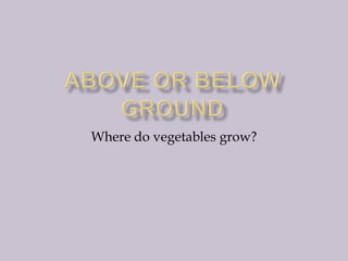 Above or below ground Where do vegetables grow? 