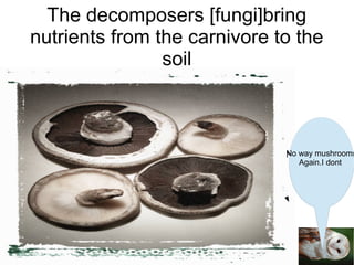 The decomposers [fungi]bring
nutrients from the carnivore to the
soil

No way mushrooms
Again.I dont
Want to die

 