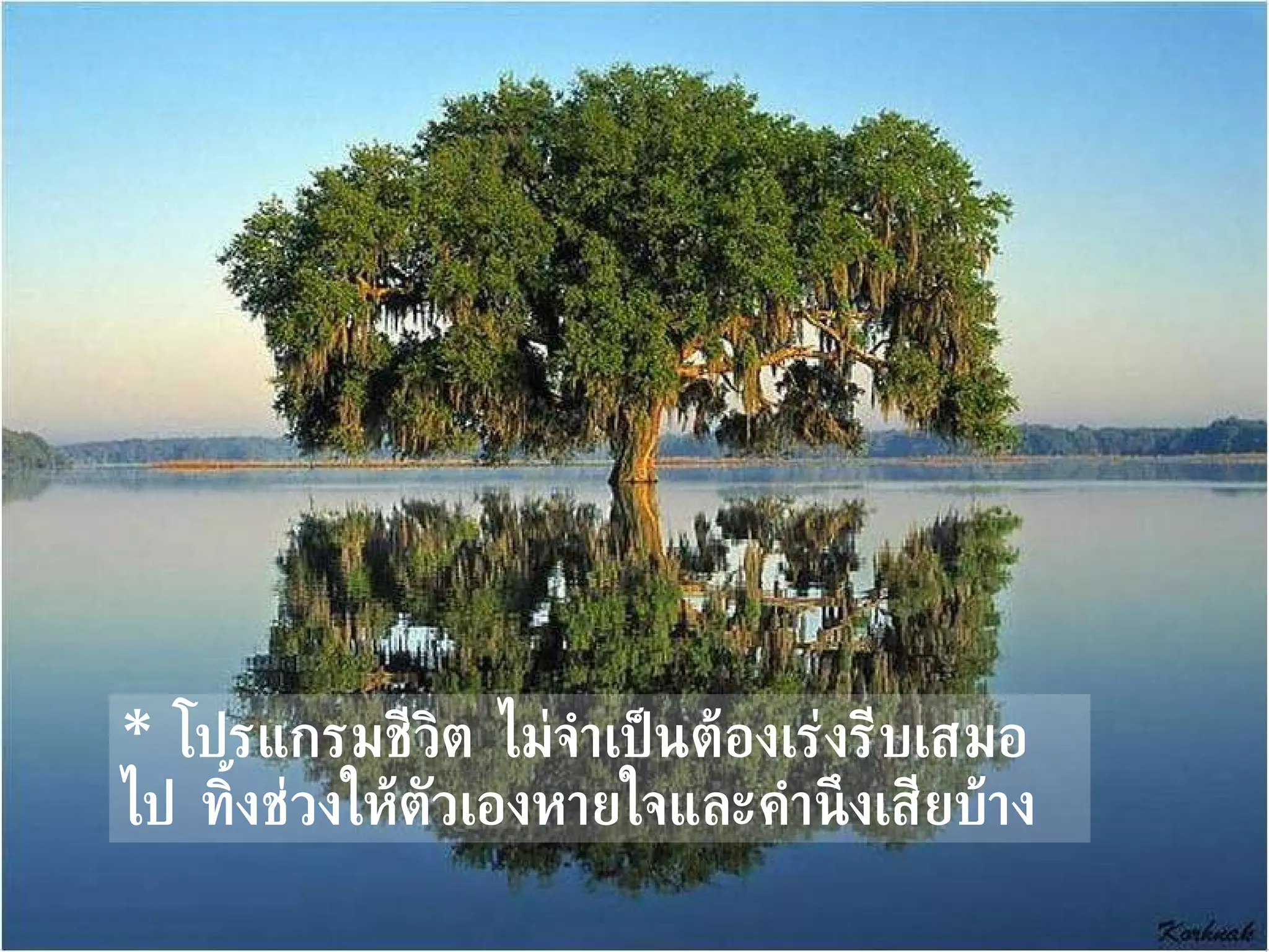 *   โปรแกรมชีวิต ไม่จำเป็นต้องเร่งรีบเสมอไป ทิ้งช่วงให้ตัวเองหายใจและคำนึงเสียบ้าง   