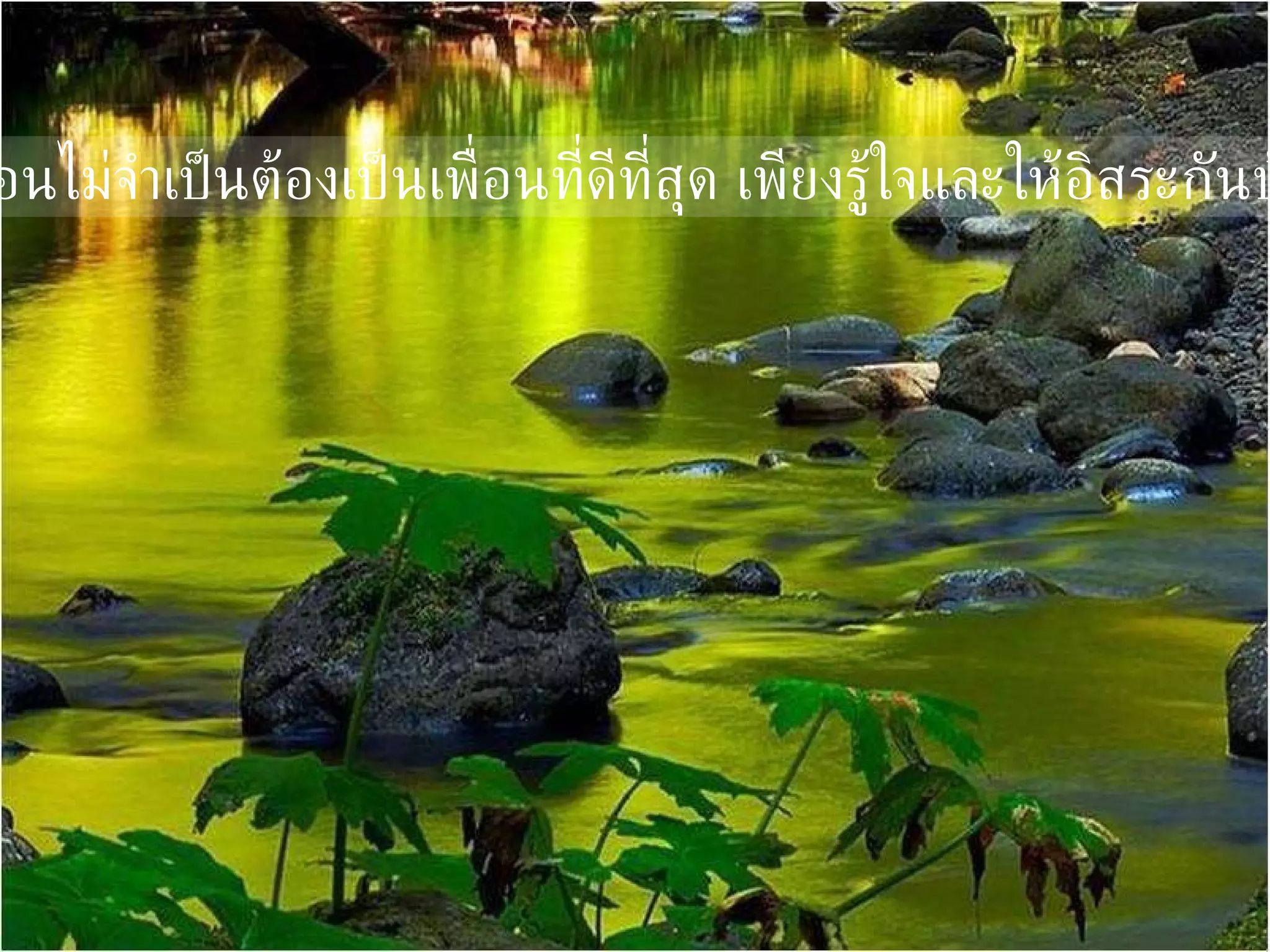 *   เพื่อนไม่จำเป็นต้องเป็นเพื่อนที่ดีที่สุด เพียงรู้ใจและให้อิสระกันบ้าง 