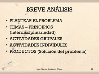BREVE ANÁLISIS <ul><li>PLANTEAR EL PROBLEMA </li></ul><ul><li>TEMAS – PRINCIPIOS  (interdisciplinariedad) </li></ul><ul><l...
