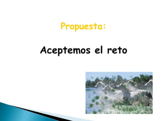 Propuesta:

Aceptemos el reto
 