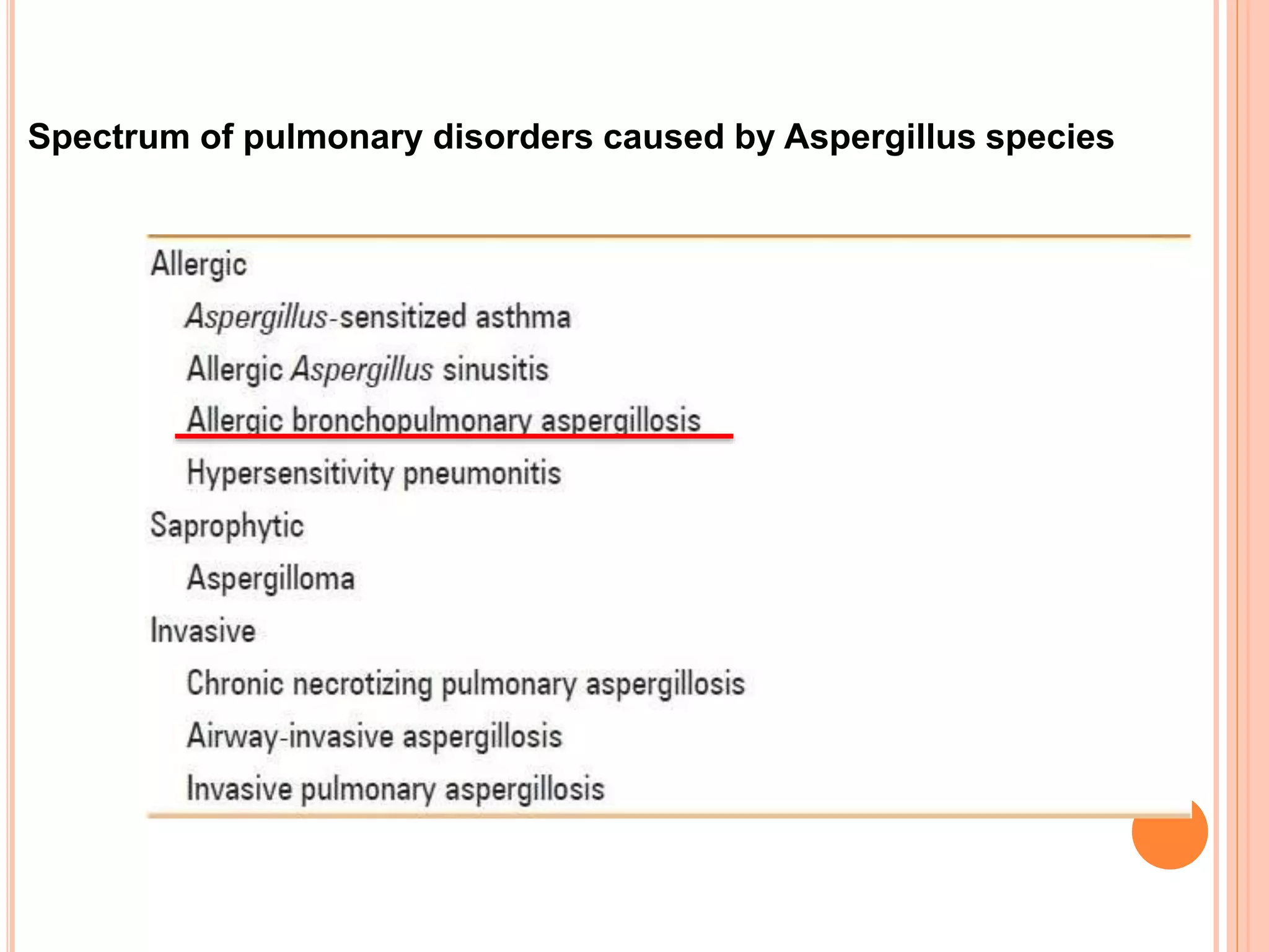 Spectrum of pulmonary disorders caused by Aspergillus species
 