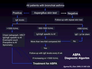All patients with bronchial asthma
Positive
Chest radiograph, HRCT
IgG/IgE spesific to Af
Eosinophil count
Precipitins to Af
Spirometry
Aspergillus skin test
IgE levels Follow-up with repeat skin test
Yes
>1000 IU/mL
Negative
500-1000 IU/mL
More than two-fold compared AH
IgE / yıl ile izlemIgG/IgE spesific to Af
No
Follow-up with IgE levels every 6 wk
If increasing or >1000 IU/mL
Treatment for ABPA
<500 IU/mL
ABPA
Diagnostic Algoritm
Agarwal R. Chest 2009;135:805-826
 