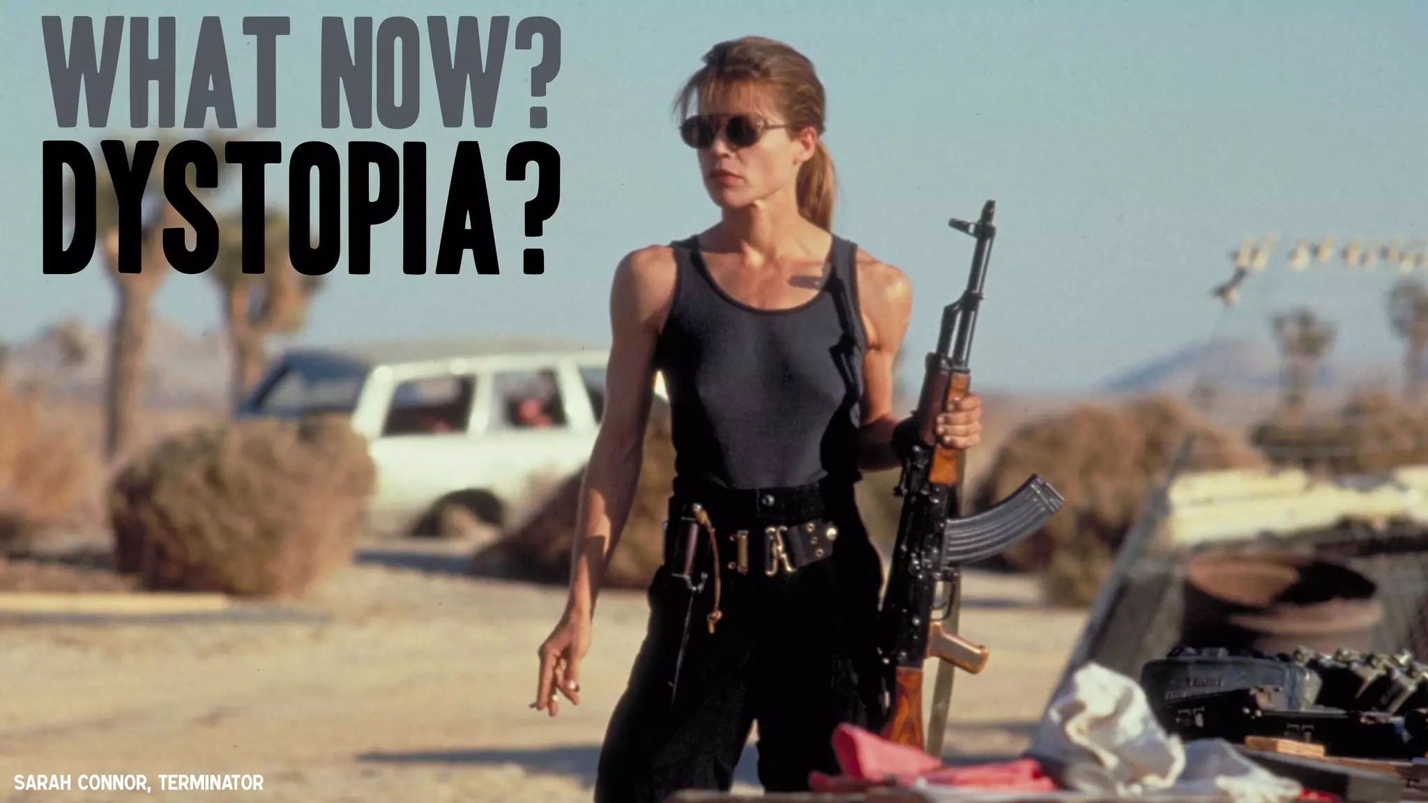 Sarah Connor, Terminator
What now?
Dystopia?
 