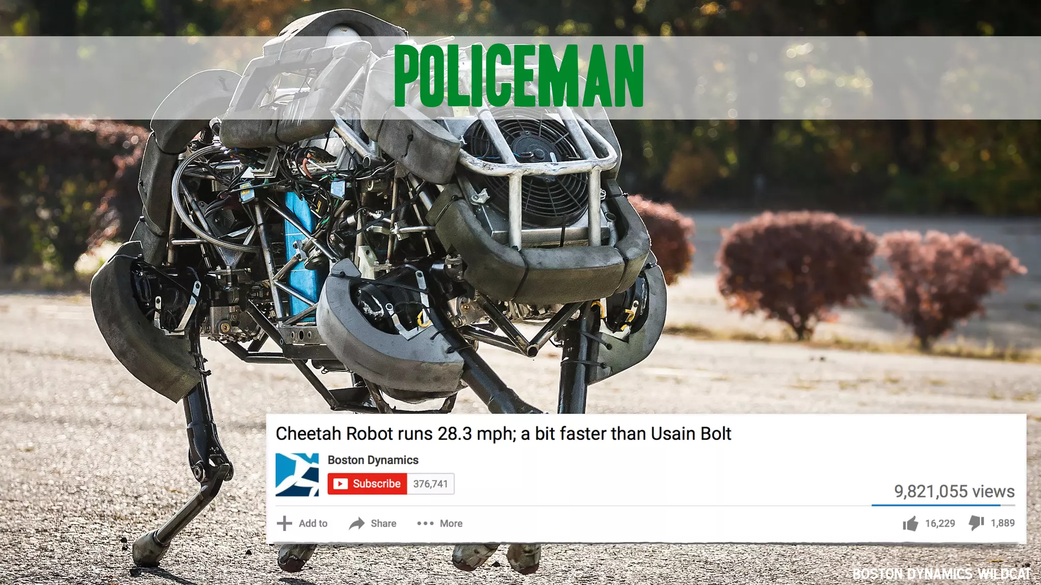 Policeman
Boston Dynamics Wildcat
 