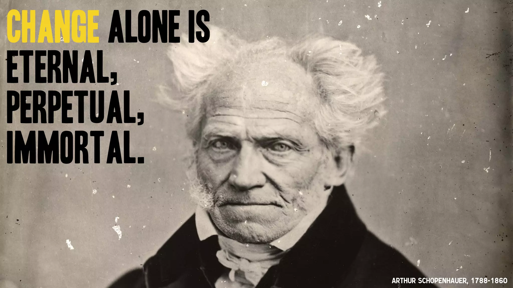 Change alone is  
eternal,  
perpetual,  
immortal.
Arthur Schopenhauer, 1788-1860
 
