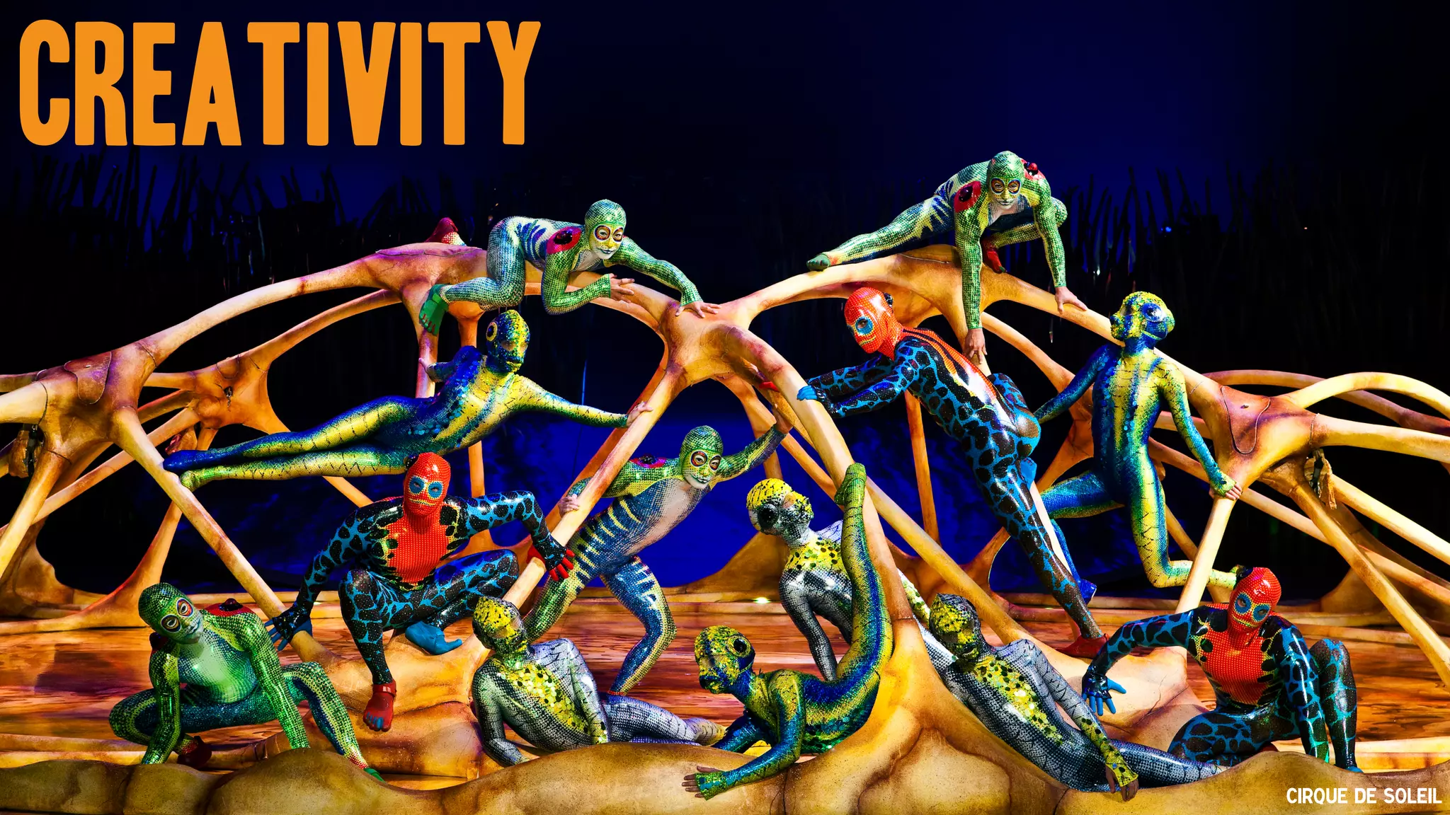 Cirque de Soleil
Creativity
 