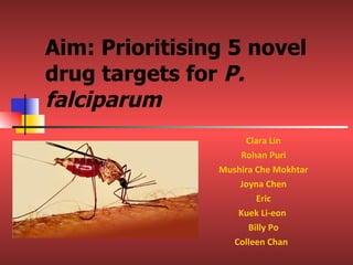 Aim: Prioritising 5 novel drug targets for  P. falciparum Clara Lin Rohan Puri Mushira Che Mokhtar Joyna Chen Eric Kuek Li-eon  Billy Po Colleen Chan   