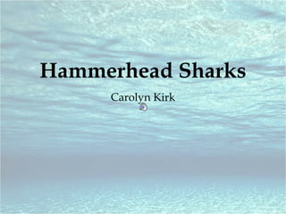 Hammerhead Sharks
Carolyn Kirk
 