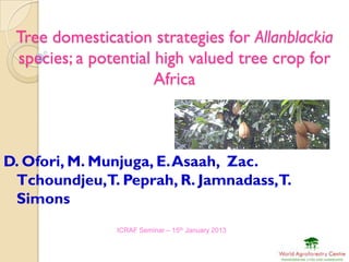 Tree domestication strategies for Allanblackia
 species; a potential high valued tree crop for
                      Africa



D. Ofori, M. Munjuga, E. Asaah, Zac.
 Tchoundjeu,T. Peprah, R. Jamnadass,T.
 Simons
               ICRAF Seminar – 15th January 2013
 