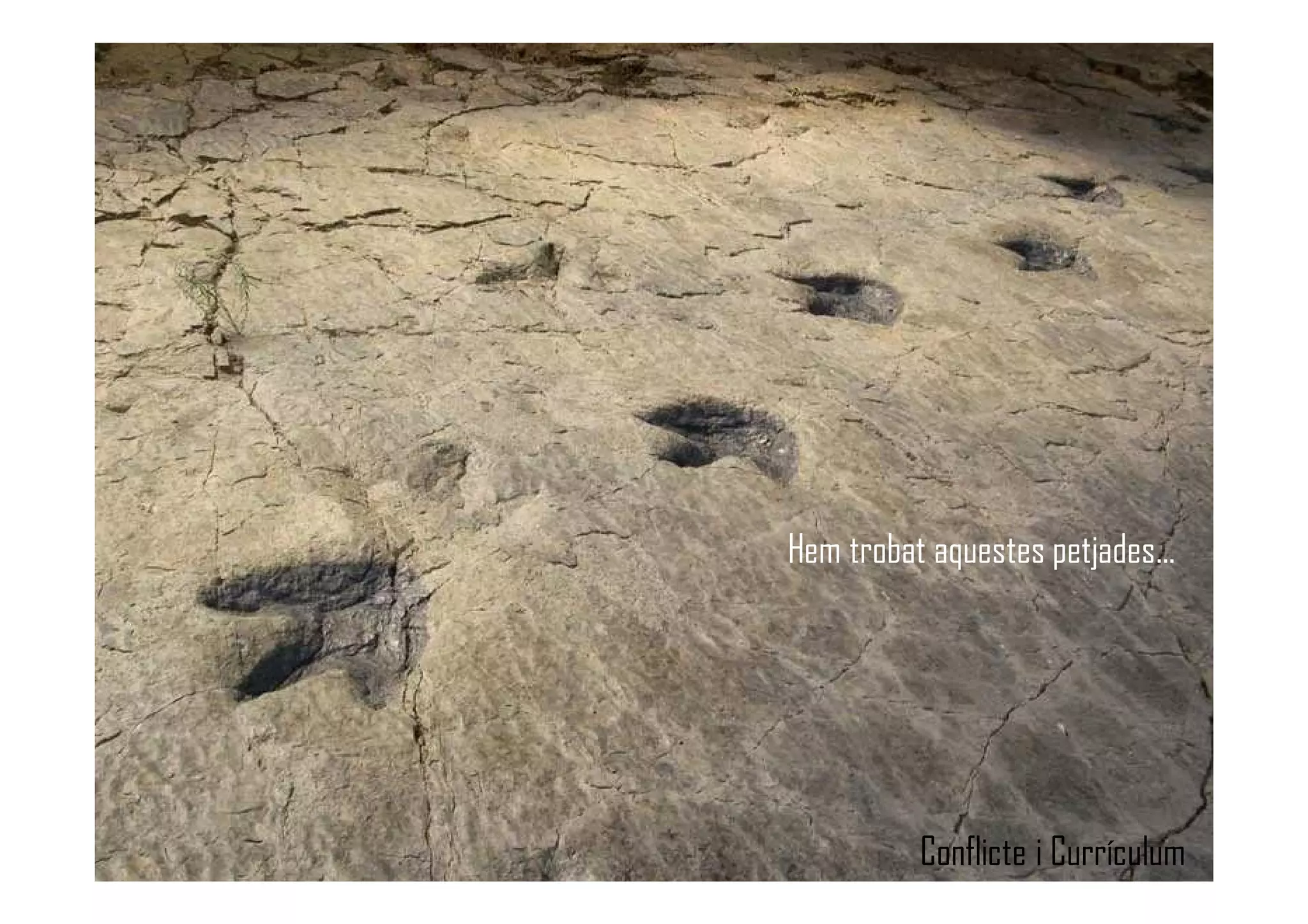 Hem trobat aquestes petjades...
Conflicte i Currículum
 