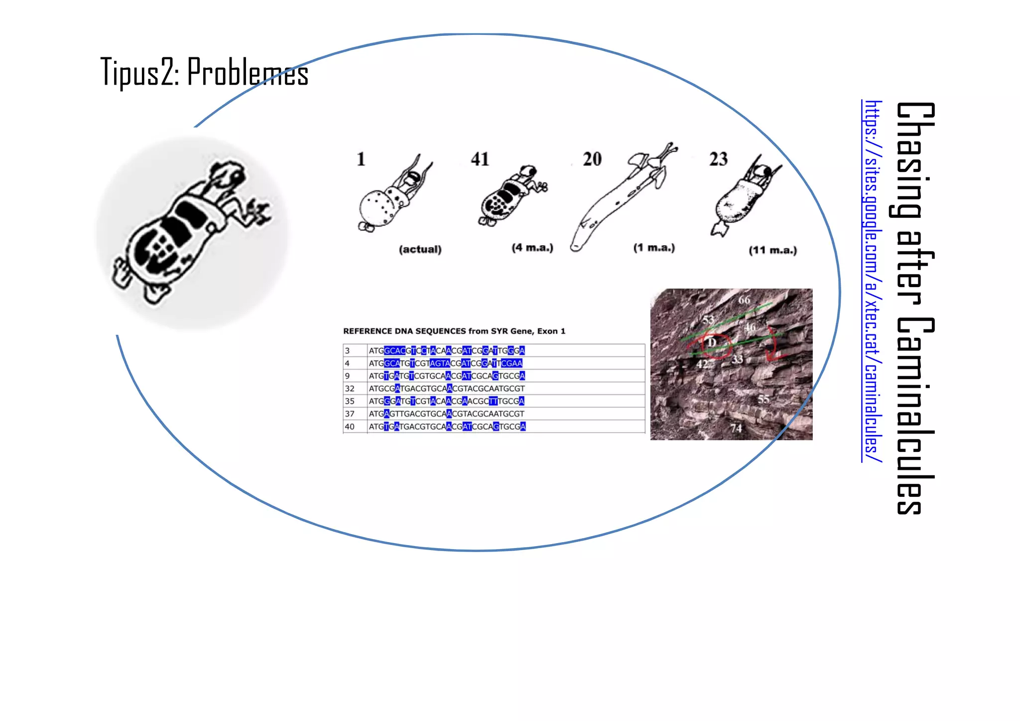 ChasingafterCaminalcules
https://sites.google.com/a/xtec.cat/caminalcules/
Tipus2: Problemes
 